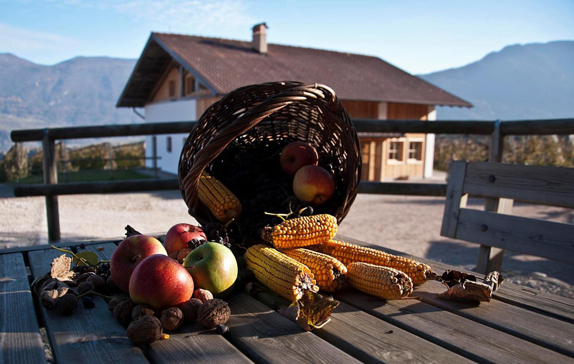 Agritur Maso Pra' Cavai B&B Balbido-rango Exteriör bild