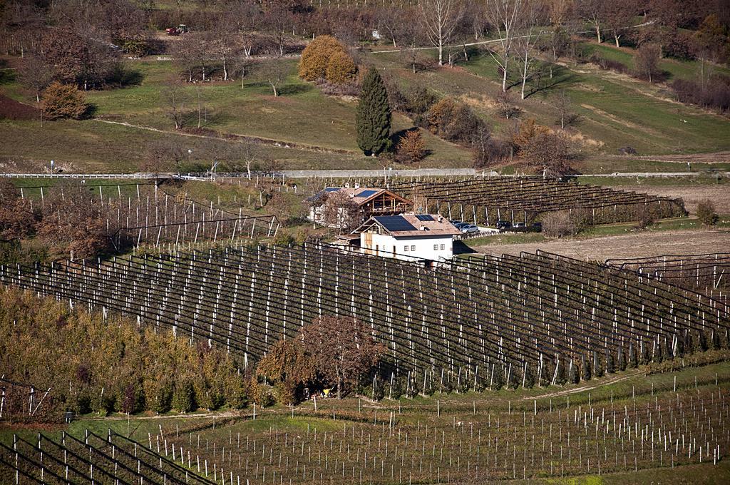 Agritur Maso Pra' Cavai B&B Balbido-rango Exteriör bild